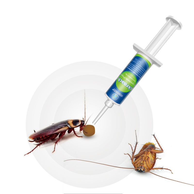 Combien de temps devez-vous laisser le gel contre les blattes : un guide pour un traitement efficace
