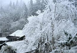 Un monde glacial ! L’hiver dans la province chinoise du Hubei.