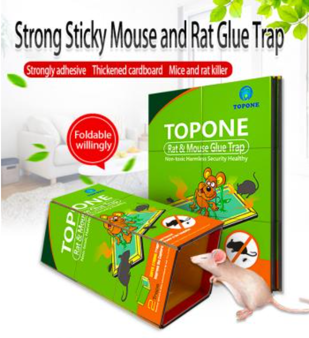 Comment savoir si vous avez des souris